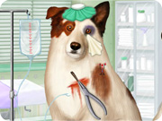 Doctor for Dog with a Blog